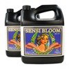 Advanced Nutrients Sensi Bloom A&B 10L